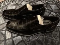 Item thumbnail for item f37a2653-d9e1-48af-afa2-370a4fe92f50