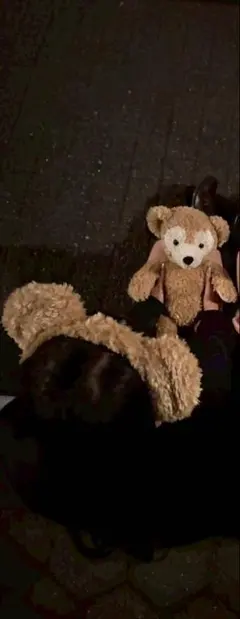 ダッフィーカチューシャぬいぐるみセット