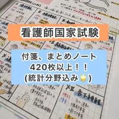 看護師国家試験まとめノート A469枚 付箋420枚以上（統計分野込み！）