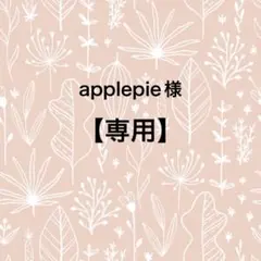 applepie様 リクエスト 2点 まとめ商品
