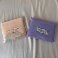 新品未開封　ファンタジースプリングス　ディズニーランドホテル　エコバッグ