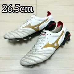ペイント加工 MIZUNO ミズノ モレリアネオ4japan ジャパン 26.5