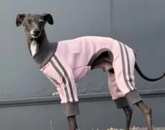 Item thumbnail for item 988a8fdf-b90a-4b0f-bb5e-73592a79720c