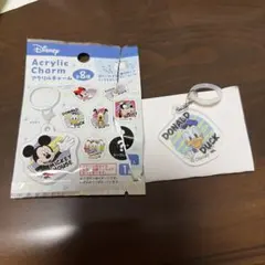 ドナルド　ディズニー　アクリルチャーム　目印チャーム　Donald Disney