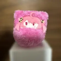 カラフルピーチ　くるみたぴぬい　のあさん　からピチ