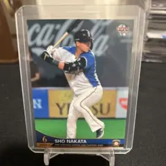 中田翔　北海道日本ハムファイターズ　中日ドラゴンズ