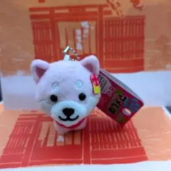 プルコ様 リクエスト 5点 まとめ商品