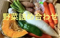 本日発送　野菜詰め合わせセット　野菜セット　コンパクト発送