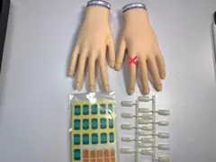 JNEC 認定ハンドモデル