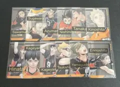 ハイキュー ファンパーク 箔押しクリアカード 烏野 日向 影山