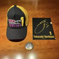 Item thumbnail for item 63423834-e494-4aae-a3f9-3e5ab0cd972f