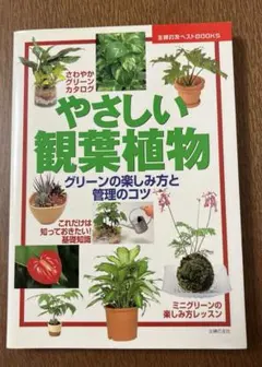 Item thumbnail for item 47169eab-1581-45c8-af6f-9c4b60e7e1bb