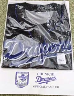 Item thumbnail for item 972068cf-de93-43c8-8d3b-23fafe270b36