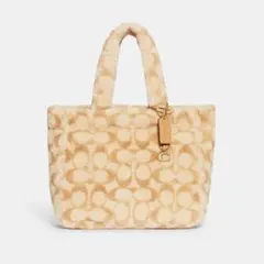 2026年最新】coAcH バッグ ファーの人気アイテム - メルカリ