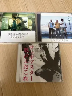 サンボマスター 僕と君の全ては日比谷野外音楽堂で唄え DVD - メルカリ