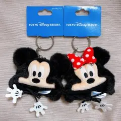ディズニーリゾート ミッキー ミニー ファンキャップ キーホルダー