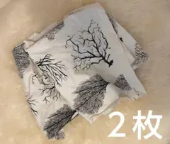 Item thumbnail for item ab2fd0cb-935e-4118-aa16-a3d9ae4e123a