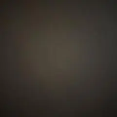 Item thumbnail for item 82d068c5-456f-48ea-9427-6a922e10d479