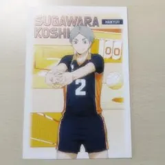 ハイキュー 菅原孝支