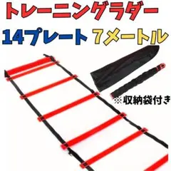 Item thumbnail for item 8ce31a0c-dc30-4b68-a1b2-2224a8d52e39