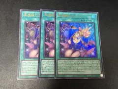 遊戯王 黒魔導のカーテン ウルトラ　3枚