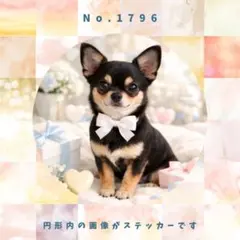 Item thumbnail for item d52736f9-3345-436f-8238-a8537daac151