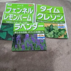 ハーブの種　5種類　家庭菜園　レモンバームのサムネイル