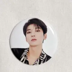 SEVENTEEN DREAM POPUP 缶バッジ ウォヌ