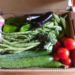 野菜の詰め合わせのサムネイル