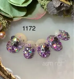 1172      ネイルチップ ジェルネイル asmnail