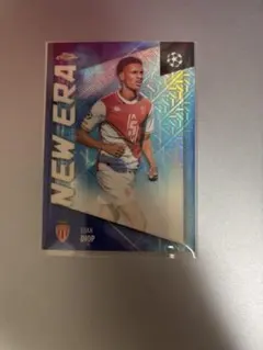 Item thumbnail for item a0051b7e-672b-439d-b215-991ebf0e7bd1