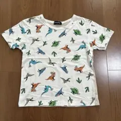 美品klädkåp kladskap 恐竜柄 Tシャツ 110