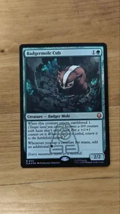 2025年最新】アナグマモグラの仔の人気アイテム - メルカリ