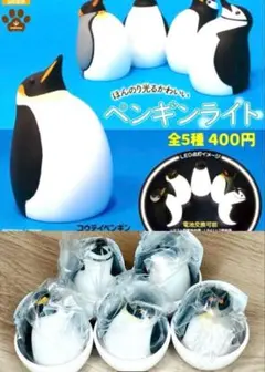ほんのり光るかわいい ペンギンライト 全5種 フルコンプ カプセルトイ ガチャ