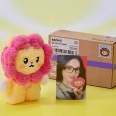 G)I-DLE minini ぬいぐるみ ソヨン ソニニ 正規品 新品未開封 - メルカリ