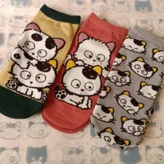 タマ＆フレンズ うちのタマ知りませんか？靴下３足セット 23~25㎝