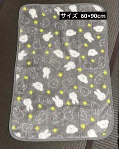 Item thumbnail for item 77c14fd0-20d6-40ce-8206-8a7f0a0799f8