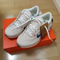 （タグ付き新品）NIKE Winflo 10 スニーカー　HQ1178-141