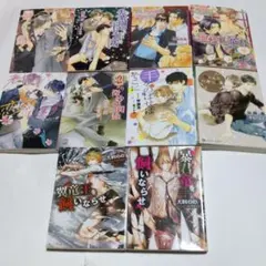 BL小説　文庫本まとめ売り　10冊セット♥