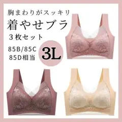 【3L】胸をスッキリ見せるブラ 3枚 シームレス ノンワイヤー ナイトブラ着痩せ