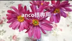 anco様専用 ミモザアカシアドライフラワー①　90サイズ