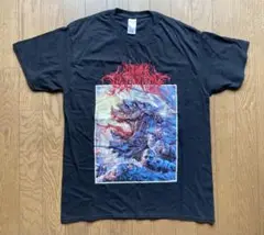 WITHIN DESTRUCTION Tシャツ　スラム　デスメタル
