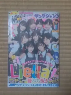 2025年最新】ヤングジャンプ liellaの人気アイテム - メルカリ