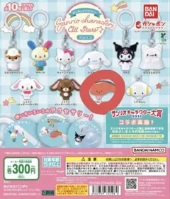 めじるしアクセサリー サンリオキャラクターズ Part.2 KIRIMIちゃん