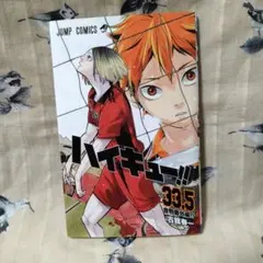 ハイキュー!! 33.5巻 【劇場版 ハイキュー!! ごみ捨て場の決戦】映画