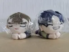 【24H以内発送】忍たま はぐキャラ 長次 小平太