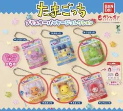 たまごっちブリスターパッケージコレクション　めめっち　くちぱっち　まるっち