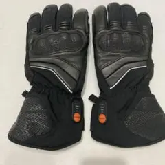 Item thumbnail for item 324e44b3-b4b2-4e97-bad8-f09f1f19ba08