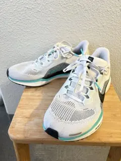 2025年最新】ペガサス41 27cmの人気アイテム - メルカリ