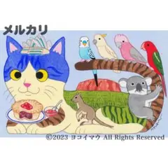 原画「猫の背中になにかある〜オーストラリア」インコ/猫/イラスト/アート/絵画